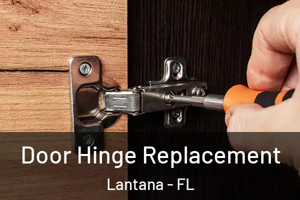 Door Hinge Replacement Lantana - FL