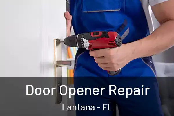 Door Opener Repair Lantana - FL
