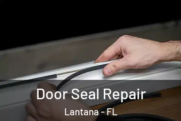 Door Seal Repair Lantana - FL