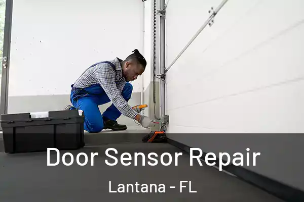 Door Sensor Repair Lantana - FL