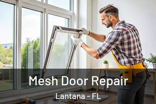 Mesh Door Repair Lantana - FL